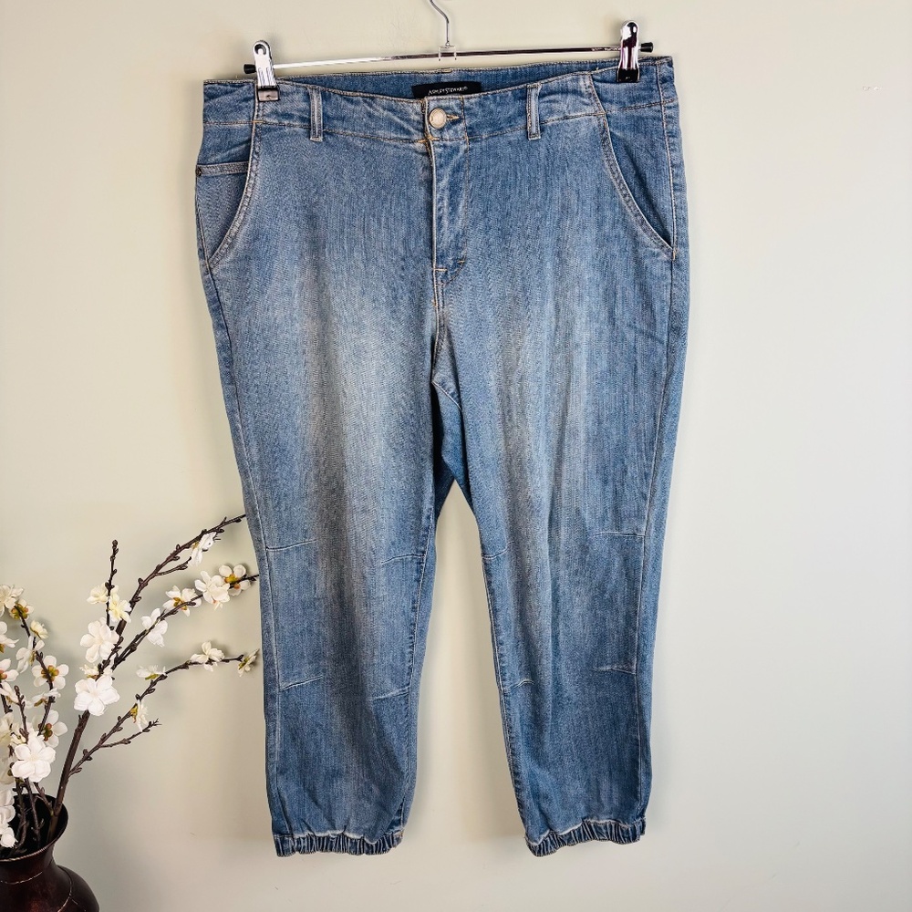 Ashley Stewart Denim Jogger Size 16